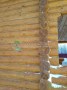 Масло для дерева матовое Gnature 288 Holzschutzöl