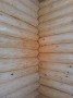 Антисептик для дерева Gnature 875 Wässriger Schutzgrund