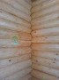 Антисептик для дерева Gnature 875 Wässriger Schutzgrund