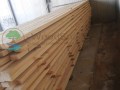 Доска обрезная сухая кедр